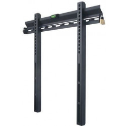 DS Pro DS125 wall mount...